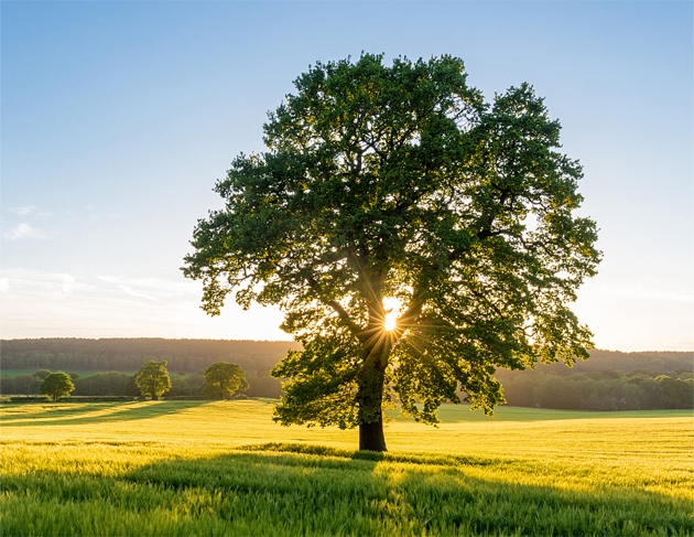 鸿运国际·(中国游)官方网站
